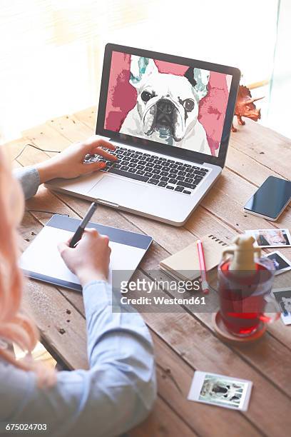 ilustraciones, imágenes clip art, dibujos animados e iconos de stock de illustrator drawing a french bulldog with a graphics tablet - diseñador gráfico