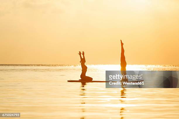 thailand, couple doing yoga on paddleboard at sunset - shirshasana stock pictures, royalty-free photos & images