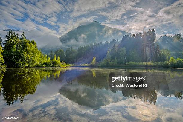 germany, bavaria, allageu, upper allgaeu, moorweiher near oberstdorf in the morning - oberstdorf photos et images de collection