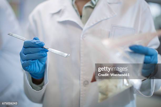 scientist working in lab wearing latex gloves - spatula stock pictures, royalty-free photos & images