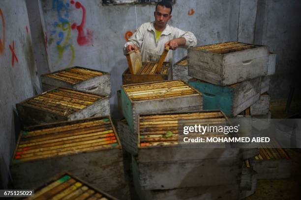 Palestinian worker removes frames from beehives to collect honeybee combs during the harvest at an apiary near Beit Hanun in the northern Gaza Strip...