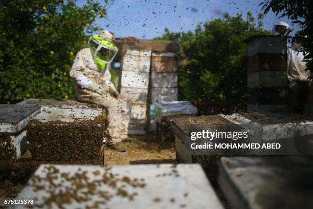 Palestinian worker rests as they remove frames from beehives to collect honeybee combs during the harvest at an apiary near Beit Hanun in the...