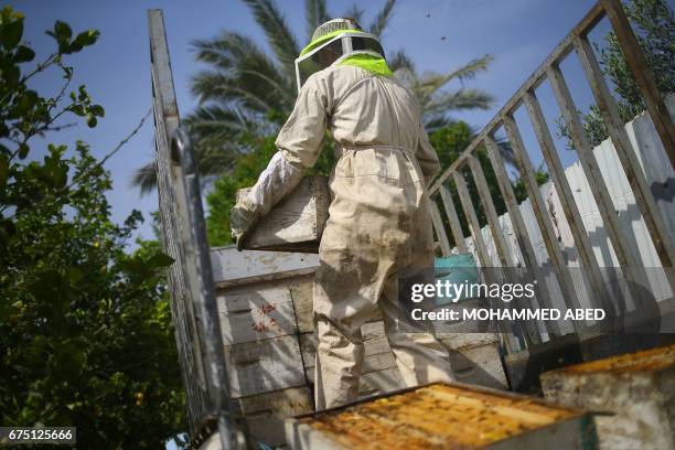 Palestinian worker loads frames from beehives onto a truck as they collect honeybee combs during the harvest at an apiary near Beit Hanun in the...