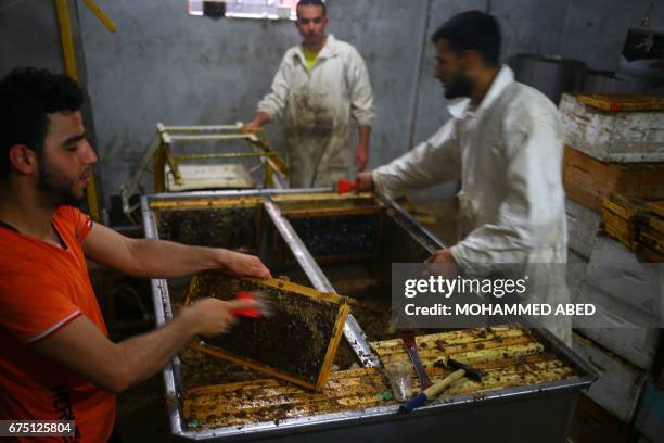 Palestinian workers scrape frames from beehives to collect honeybee combs during the harvest at an apiary near Beit Hanun in the northern Gaza Strip...