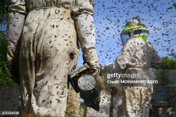 Palestinian workers smoke out bees as they remove frames from beehives to collect honeybee combs during the harvest at an apiary near Beit Hanun in...