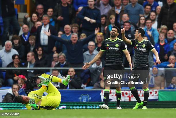 Diego Costa of Chelsea reacts as Maarten Stekelenburg of Everton holds his leg during the Premier League match between Everton and Chelsea at...