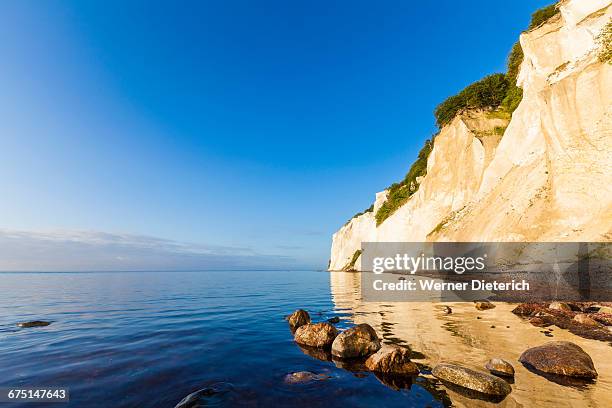 the cliffs of møn at møn island in denmark - kreidefelsen stock-fotos und bilder