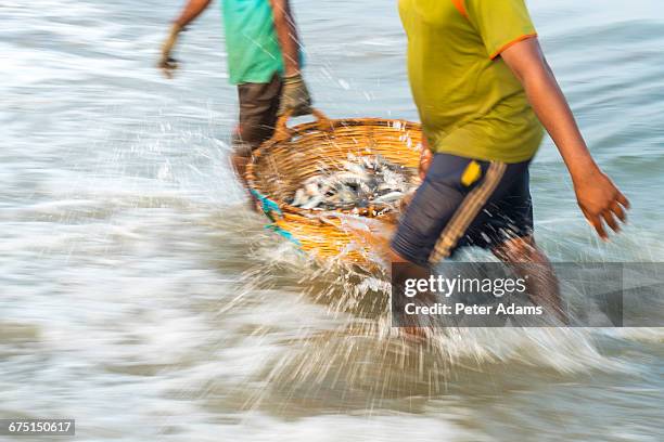 fishermen carrying basket of fish - tee srilanka stock pictures, royalty-free photos & images