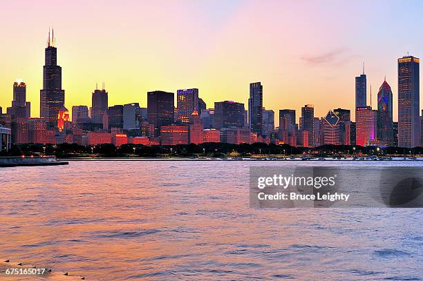 chicago lake front and skyline - smurfit stone building stock pictures, royalty-free photos & images