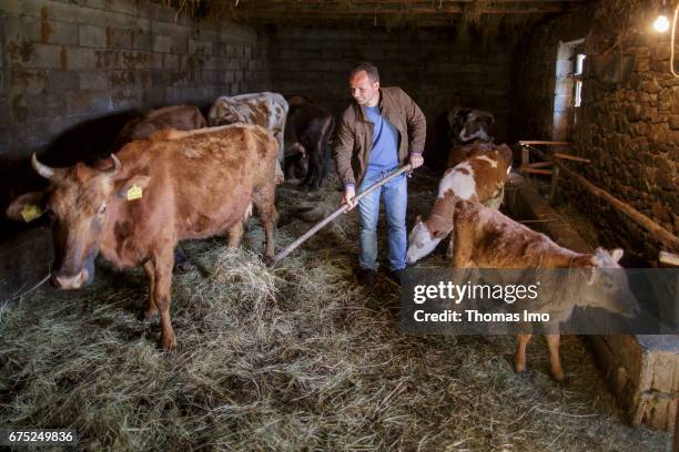 Kruma, Albania The Albanian farmer Roland Cela mucking out in a cowshed. With the support of the GIZ he was able to modernize his farm on March 29,...