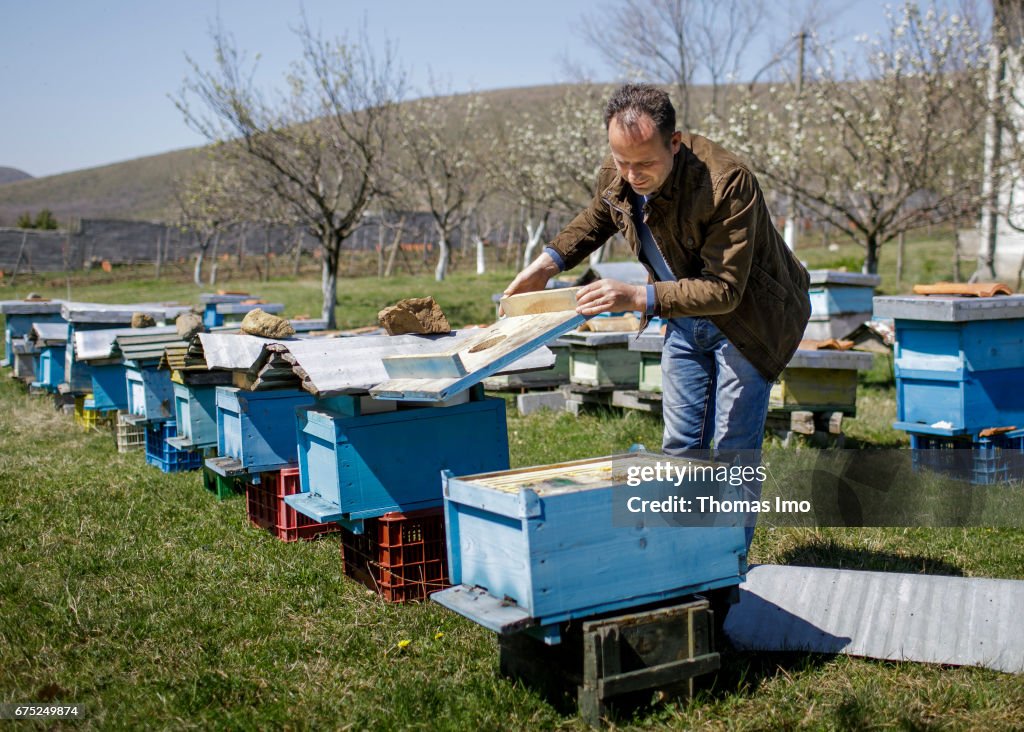 Beekeeper in Albania