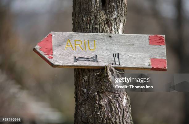 Peja, Kosovo Guide to a guest house on a tree on March 30, 2017 in Peja, Kosovo.