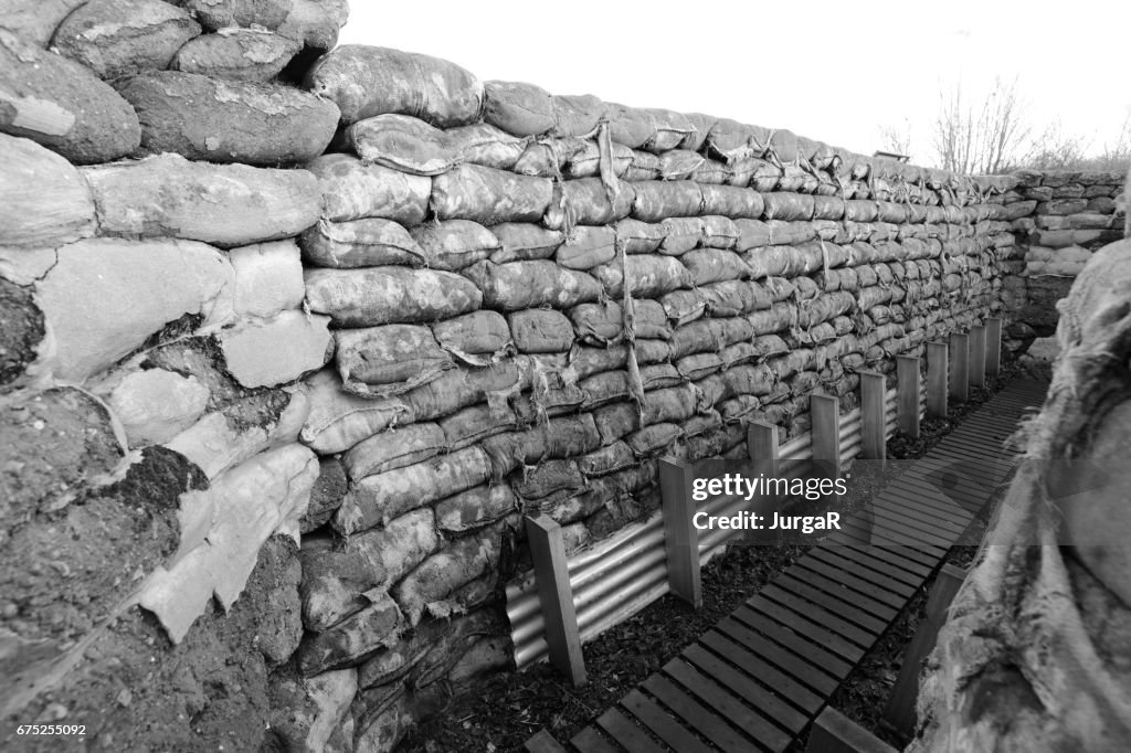 Yorkshire diket och grävde ut WWI diken i Ypern Belgien
