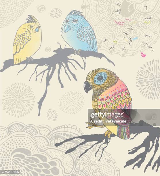 parrots and canary sitting on tree branches - finch stock illustrations
