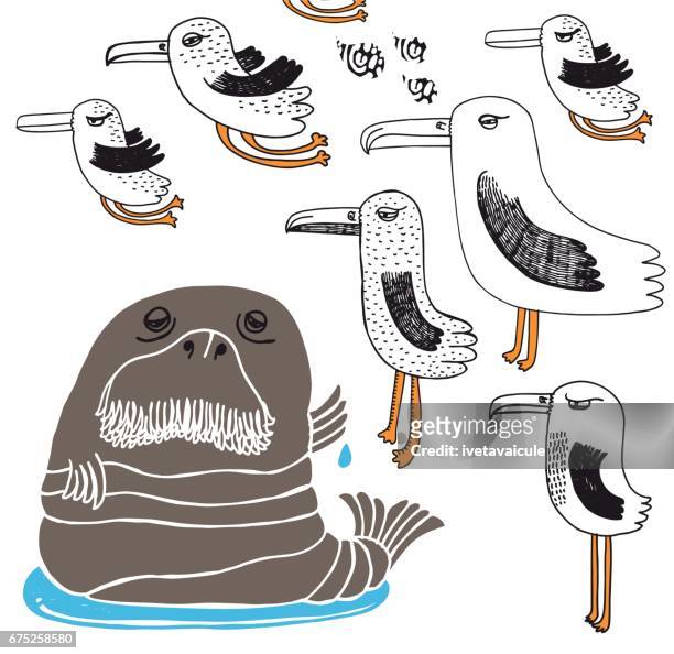 walrus and seagulls - albatross stock illustrations