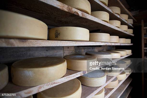 cheese resting on a shelf - continental_shelf stock pictures, royalty-free photos & images