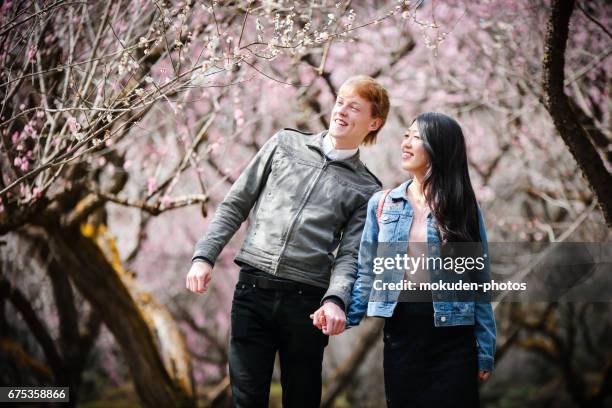 gelukkige jonge paar om te genieten van het toerisme kyoto - 豊か stockfoto's en -beelden