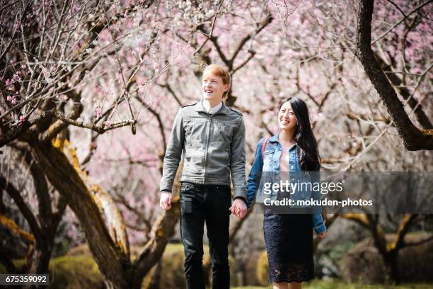 happy young couple to enjoy the tourism kyoto - カップル imagens e fotografias de stock