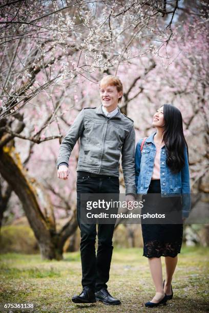 happy young couple to enjoy the tourism kyoto - 手をつなぐ imagens e fotografias de stock