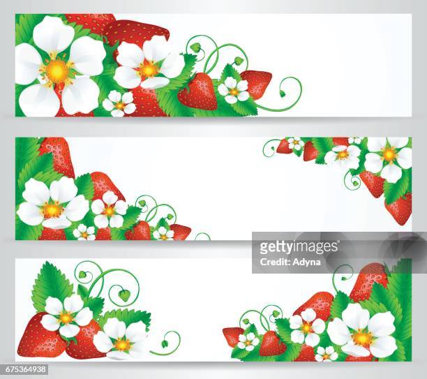strawberry banner - hungarian food stock illustrations