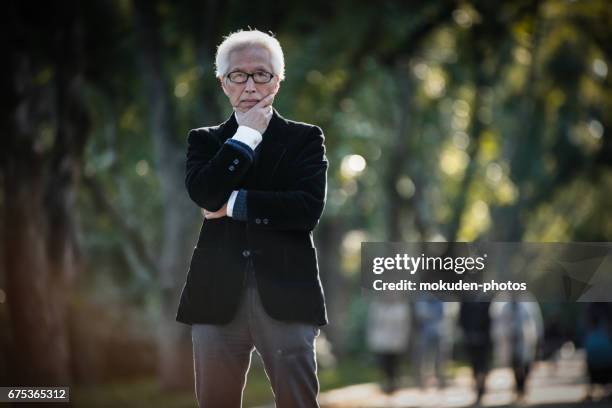 a dignified japanese senior businessman - 大人 stock pictures, royalty-free photos & images