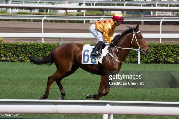 Jockey Silvestre De Sousa riding Gold Mount during the Race 6 Queen Mother Memorial Cup at Sha Tin Racecourse on April 30, 2017 in Hong Kong, Hong...