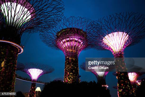 super tree grove at night - grove stock pictures, royalty-free photos & images