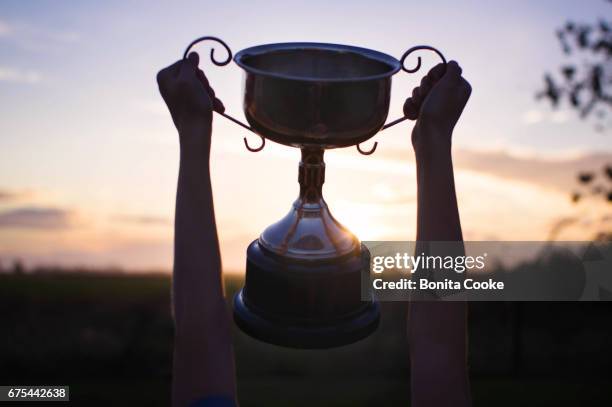 child holding up school trophy, cup awarded - honors awards 2016 show stock pictures, royalty-free photos & images