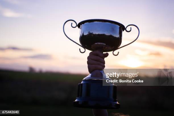 child holding up school trophy, cup awarded - cup awards gala stock pictures, royalty-free photos & images