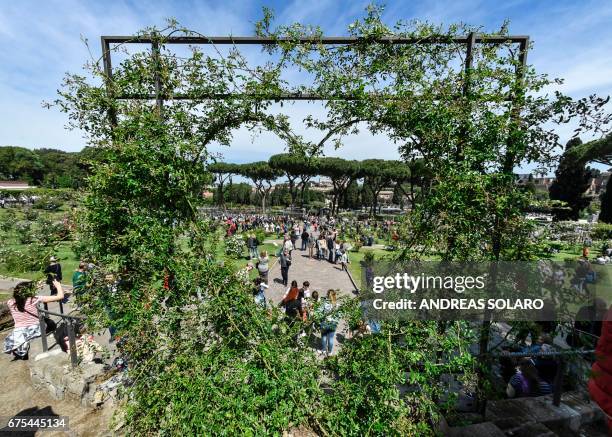 Rose Graden Rome 166 Rome Rose Garden Stock Photos, High-Res Pictures, and Images ...