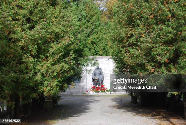 soviet soldier memorial through the trees - armée rouge photos et images de collection