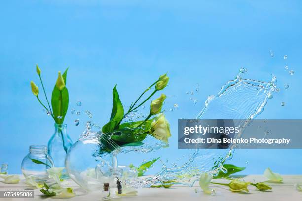 white spring flowers falling from a blow of wind with a splash of clear water - lisianthus flowers in glass vases stock-fotos und bilder