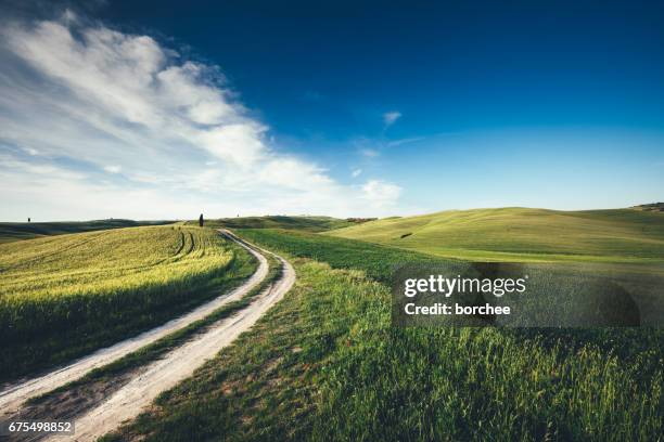 country road in tuscany - rolling stock pictures, royalty-free photos & images