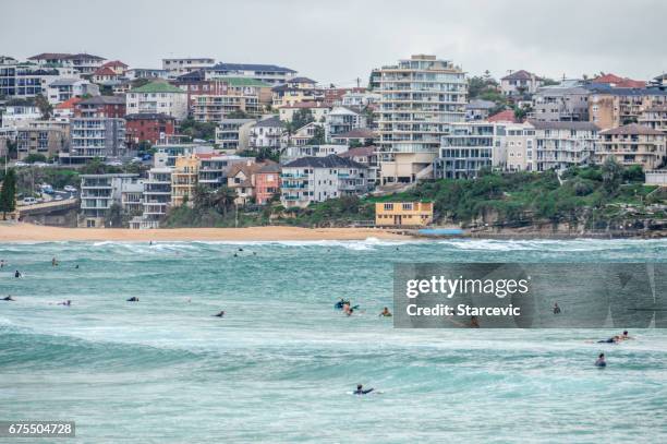 männliches strand in sydney, australien - manly beach stock-fotos und bilder