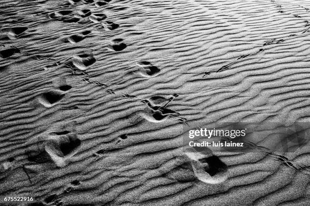 traces on the sand - con textura stockfoto's en -beelden