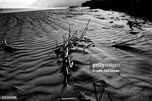 traces on the sand - con textura stockfoto's en -beelden