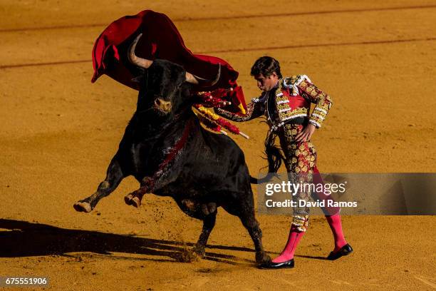 Bullfighter Julian Lopez 'El Juli' his performs with a Daniel Ruiz ranch fighting bull at La Maestranza bullring on the second day of La feria de...