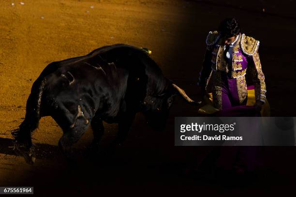 Bullfighter Cayetano Rivera Ordonez performs with a Daniel Ruiz ranch fighting bull at La Maestranza bullring on the second day of La feria de Abril...