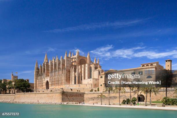 palma de mallorca cathedral - palma majorca stock pictures, royalty-free photos & images