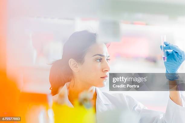 serious chemist holding test tube in laboratory - laboratorio fotografías e imágenes de stock