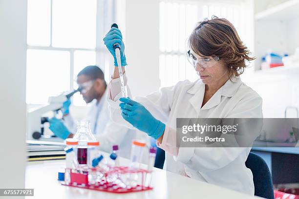 concentrated chemist working on chemicals - safety glasses bildbanksfoton och bilder