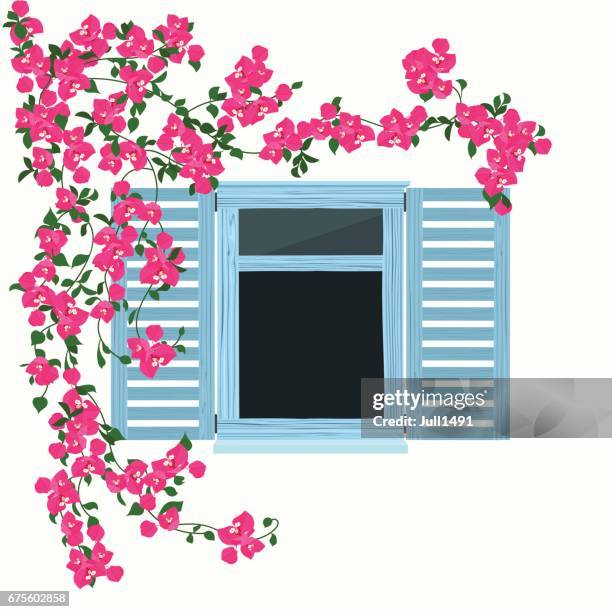 blue wooden window with beautiful  flowers - bougainvillea stock illustrations