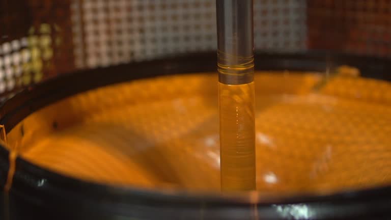 In The Ink Machine 1,126 Ink Machine Stock Videos, Footage, & 4K Video Clips - Getty Images