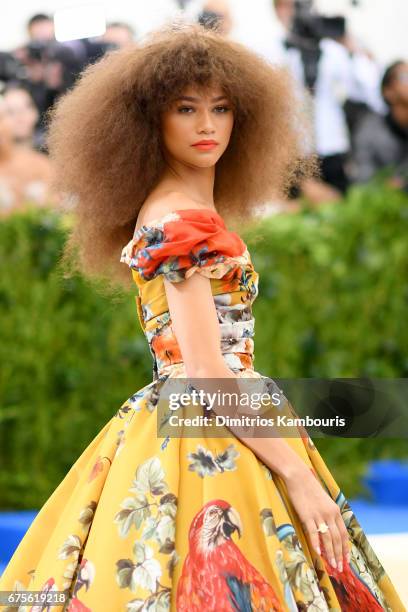 Zendaya attends the "Rei Kawakubo/Comme des Garcons: Art Of The In-Between" Costume Institute Gala at Metropolitan Museum of Art on May 1, 2017 in...