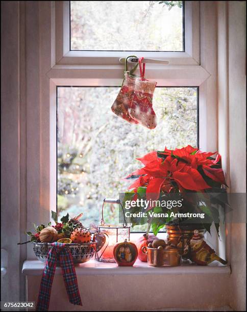 decorated window at christmas - weihnachtsstern stock-fotos und bilder