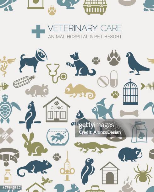 veterinary seamless pattern - guinea pig stock illustrations