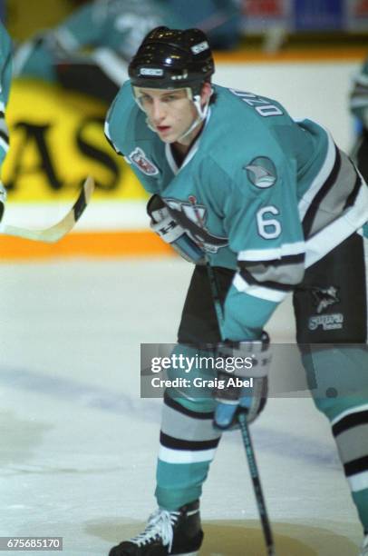 Sandis Ozolinsh of the San Jose Sharks skates in warmup prior to a game against the Toronto Maple Leafs on October 24, 1992 at Maple Leaf Gardens in...