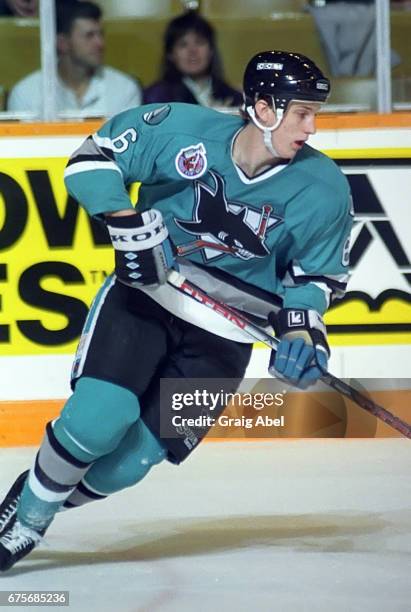 Sandis Ozolinsh of the San Jose Sharks controls the puck against the Toronto Maple Leafs on October 24, 1992 at Maple Leaf Gardens in Toronto,...