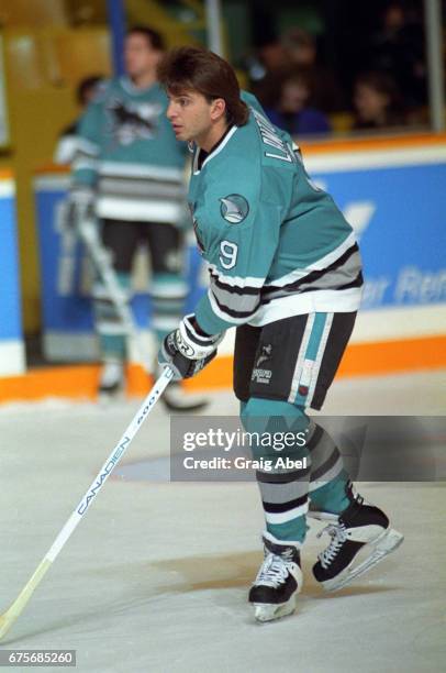 Brain Lawton of the San Jose Sharks skates in warmup prior to a game against the Toronto Maple Leafs on October 24, 1992 at Maple Leaf Gardens in...