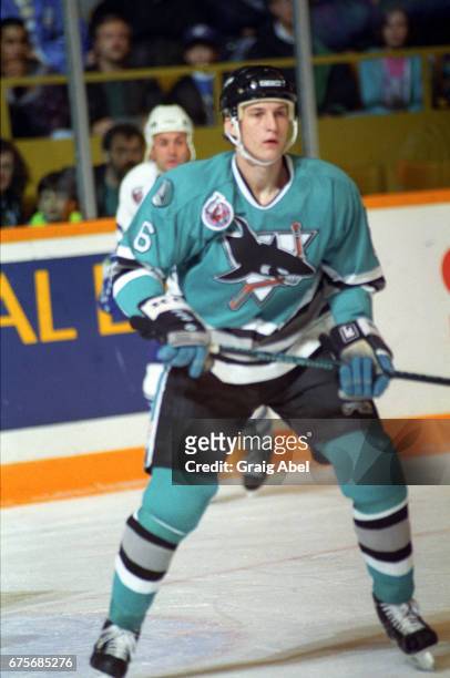 Sandis Ozolinsh of the San Jose Sharks watches the play develop against the Toronto Maple Leafs on October 24, 1992 at Maple Leaf Gardens in Toronto,...